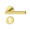 Tay Nắm Gạt Cửa Phòng Hafele 903.92.558